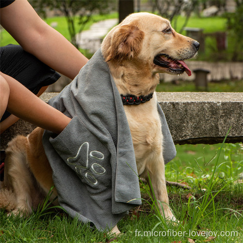 Serviette de bain super absorbante pour chien